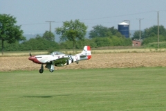 freundschaftsfliegen_09__22_20090820_1990399134