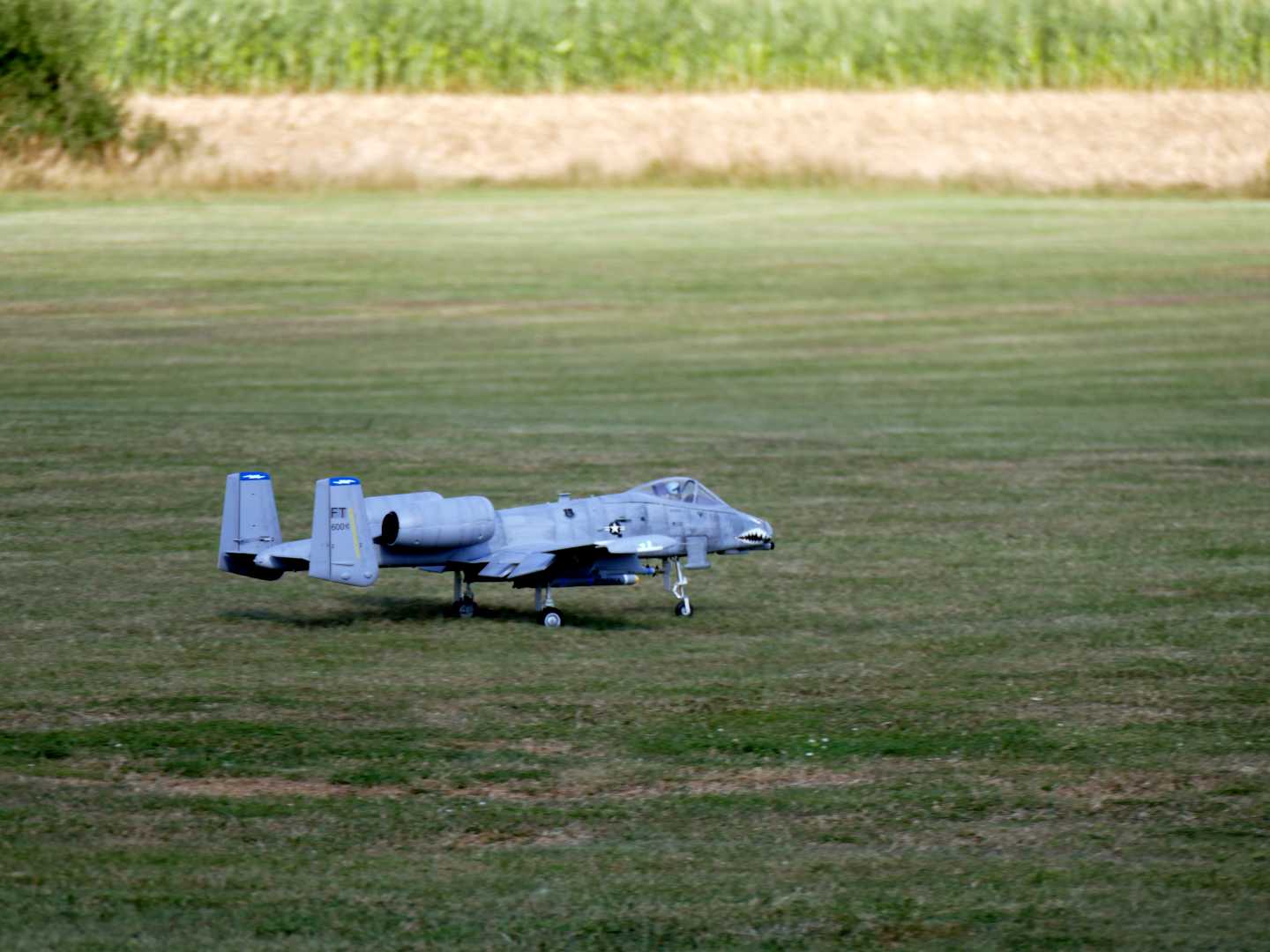 P1050228