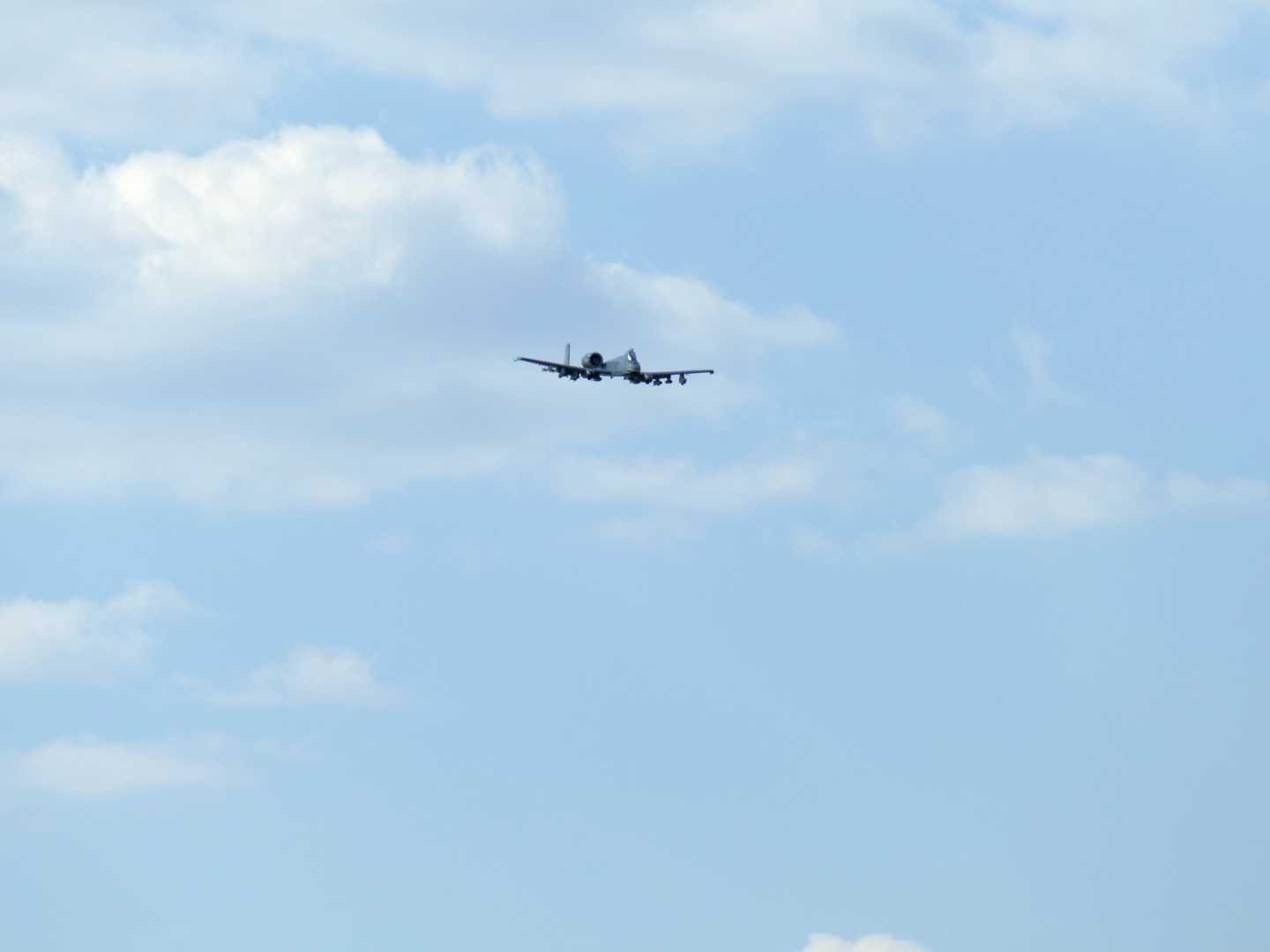 P1050229