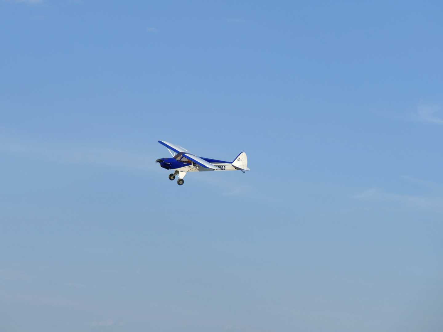 P1050293