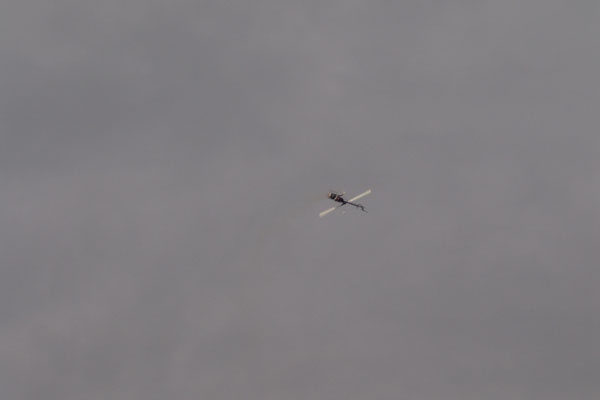 9_helitreffen_2_20090222_1054558416