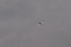 9_helitreffen_2_20090222_1054558416