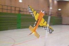 user_76_hallenfliegen-030_6