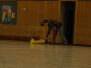Indoor Fliegen 2009