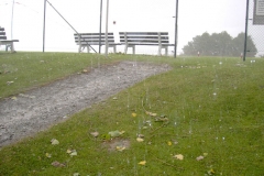 soest_2001_5_20080124_1215086904
