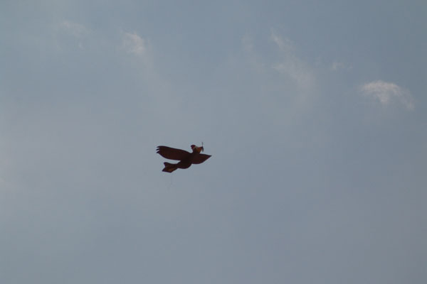 user_76_gmv-038_5