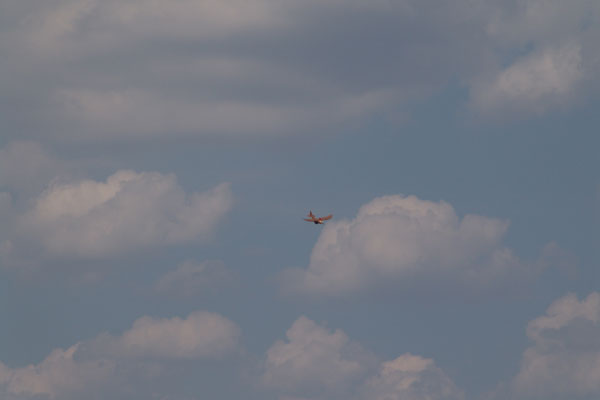 user_76_gmv-040_7